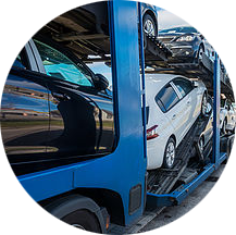 Professional Drivers